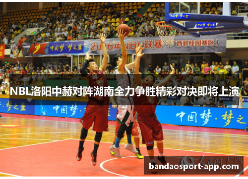 NBL洛阳中赫对阵湖南全力争胜精彩对决即将上演