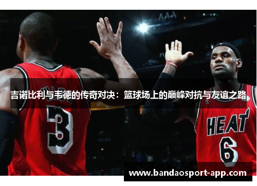 吉诺比利与韦德的传奇对决：篮球场上的巅峰对抗与友谊之路